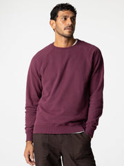Men Organic Cotton Sweatshirt in Purple - Coho