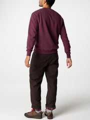 Men Organic Cotton Flannel Lined Trousers in Brown