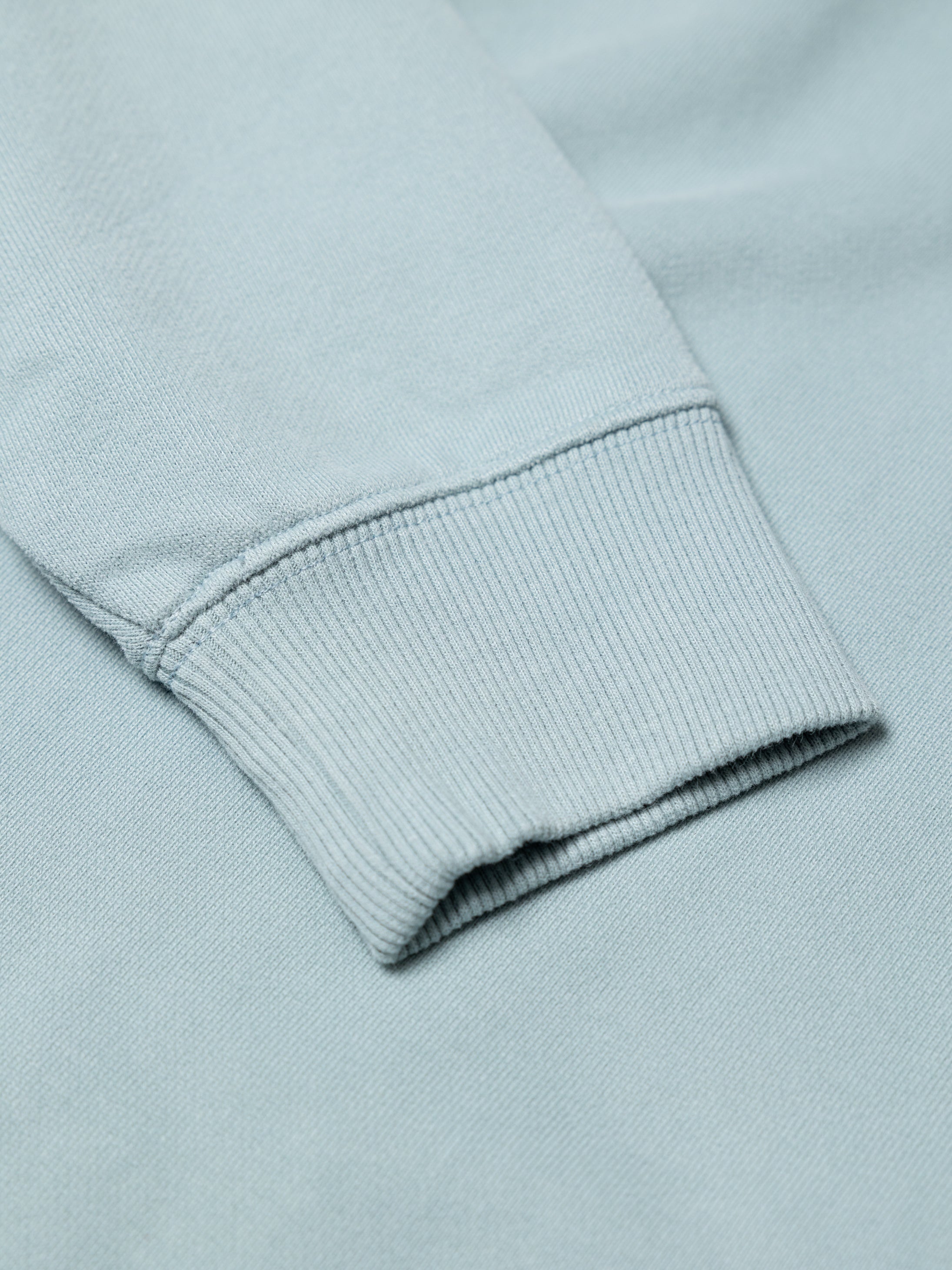 Men Organic Cotton Sweatshirt in Blue - Coho