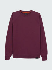 Men Organic Cotton Sweatshirt in Purple - Coho