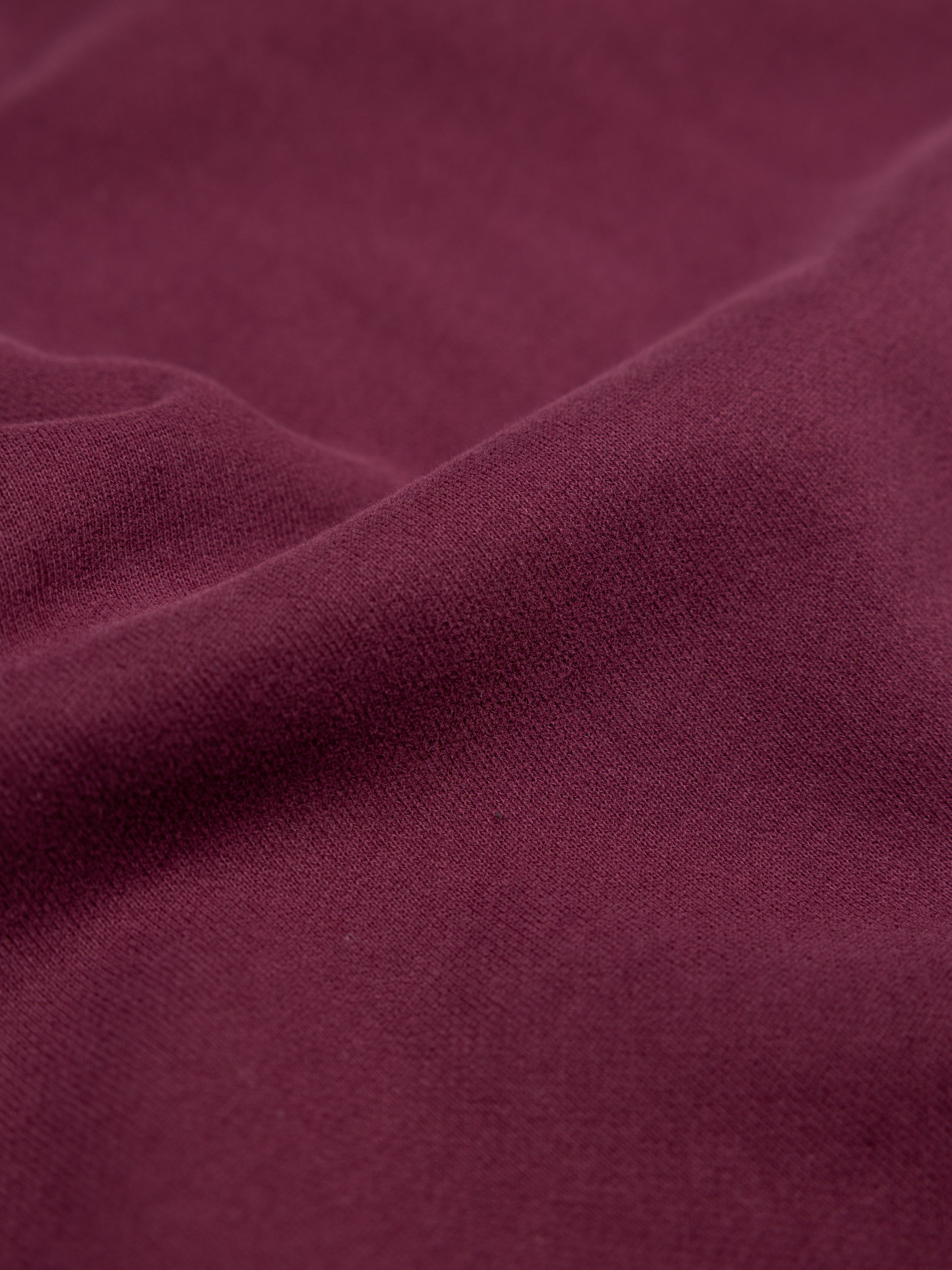 Men Organic Cotton Sweatshirt in Purple - Coho