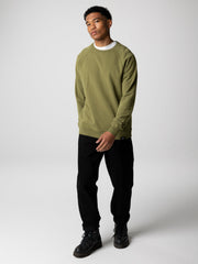 Men Organic Cotton Sweatshirt in Seagrass - Coho