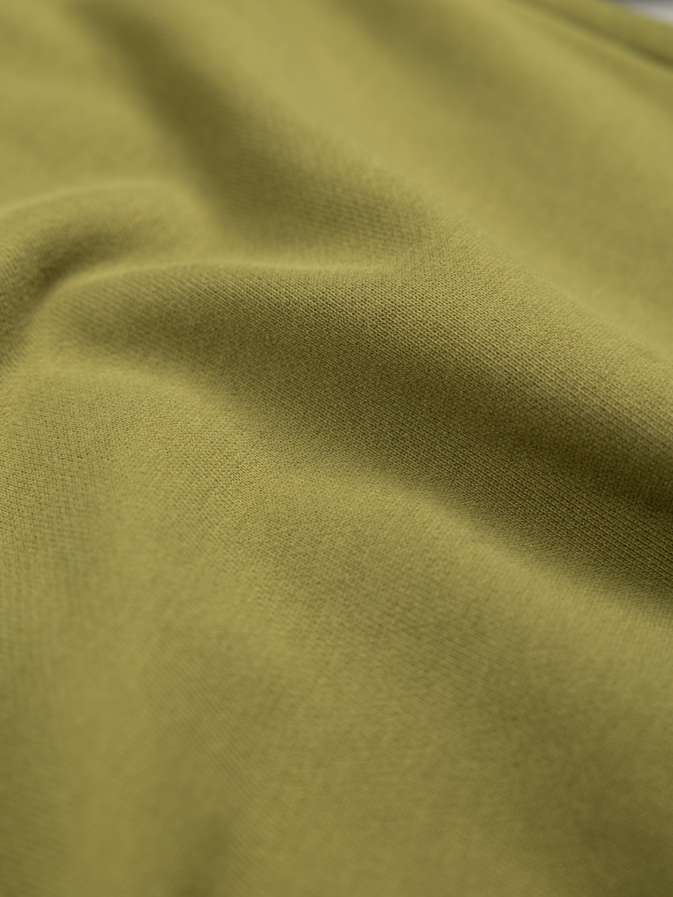 Men Organic Cotton Sweatshirt in Seagrass - Coho